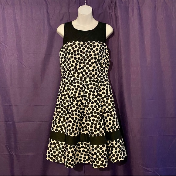 Polkadot midi dress BNWT - Picture 1 of 3